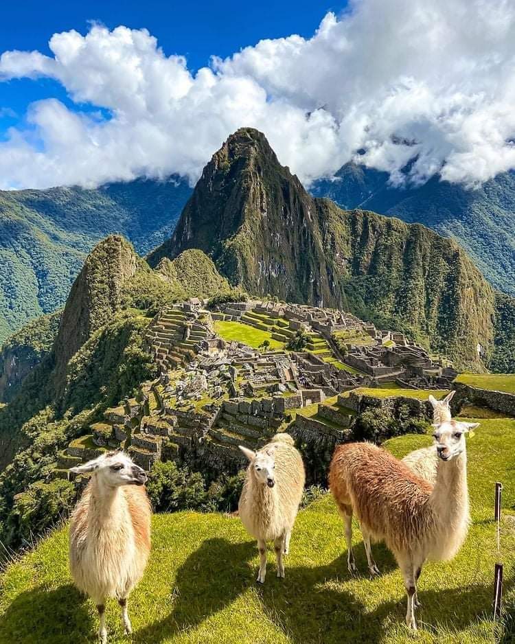 machupicchu