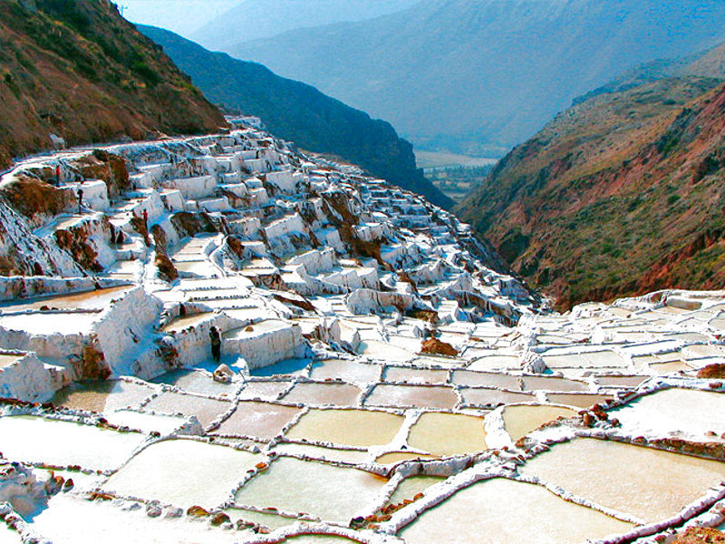 maras
